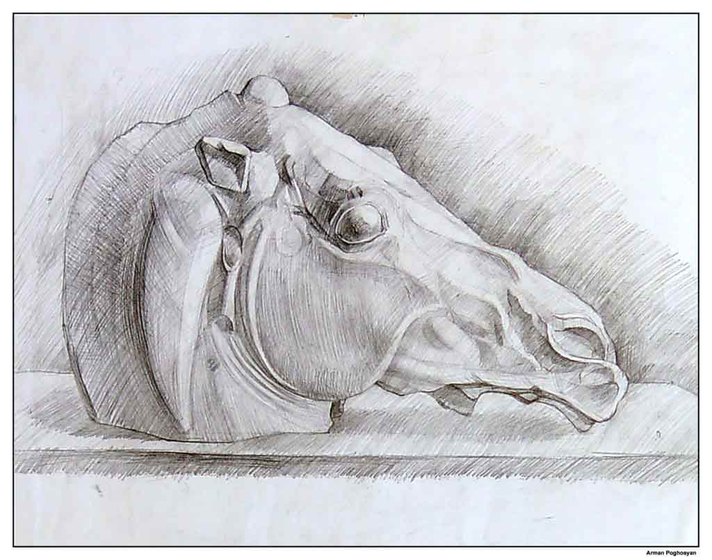 Horse Head, Pencil, Arman Poghosyan